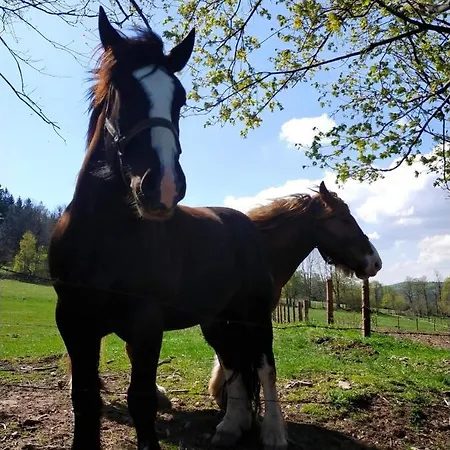 Holiday home Henrykowo