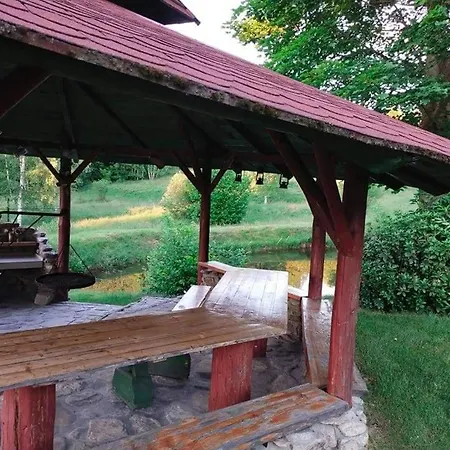 Henrykowo Holiday home