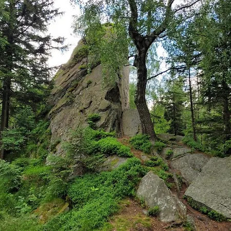 Henrykowo Holiday home