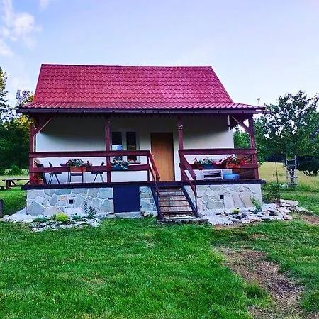 Henrykowo Holiday home