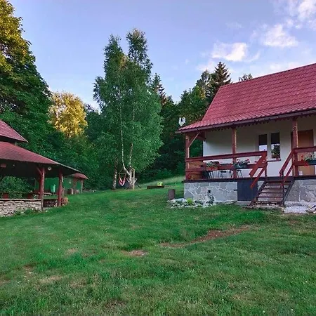 Henrykowo Holiday home *