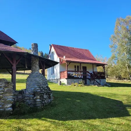 Henrykowo Holiday home *