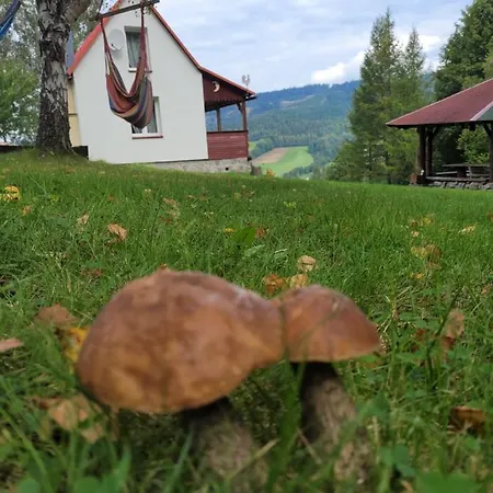 Dom wakacyjny Henrykowo Stronie Śląskie