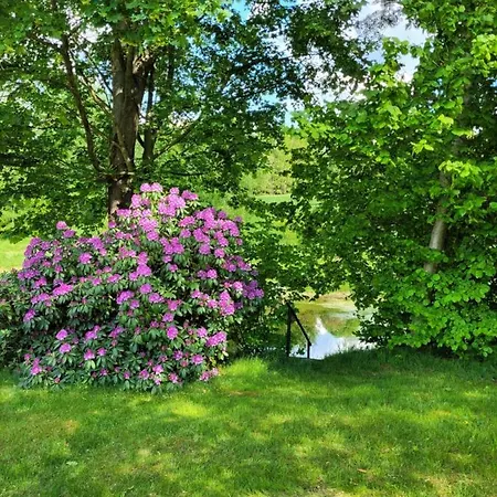Holiday home Henrykowo Stronie Slaskie