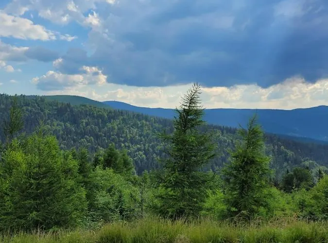 Henrykowo * Stronie Śląskie