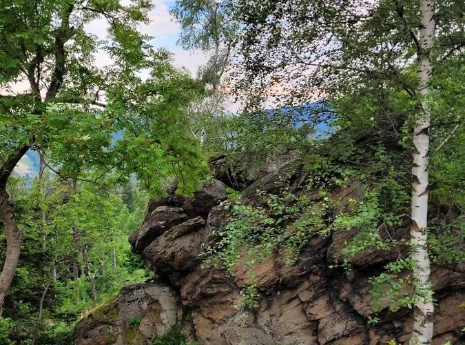 Henrykowo Stronie Śląskie