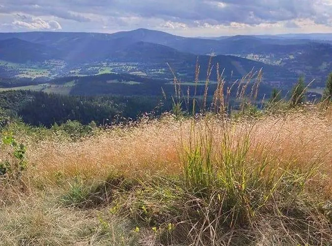 Ferienhaus Henrykowo Stronie Śląskie