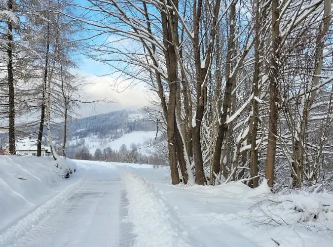 Henrykowo Ferienhaus Stronie Śląskie
