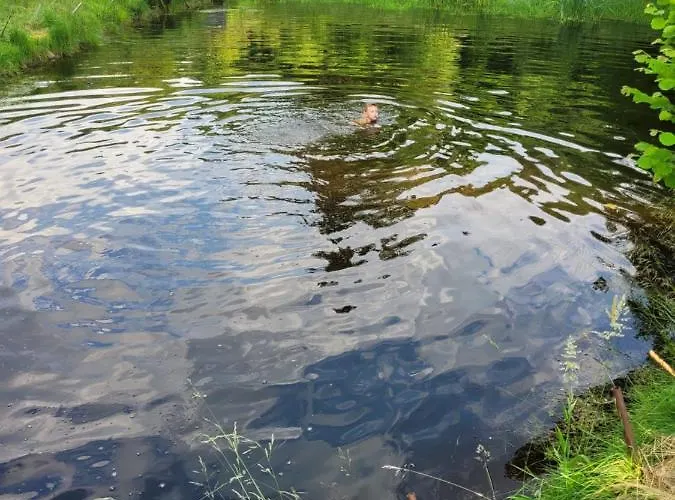 Ferienhaus Henrykowo