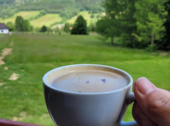 Henrykowo * Stronie Śląskie