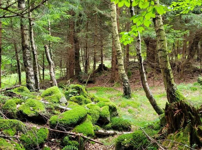 Henrykowo Ferienhaus *