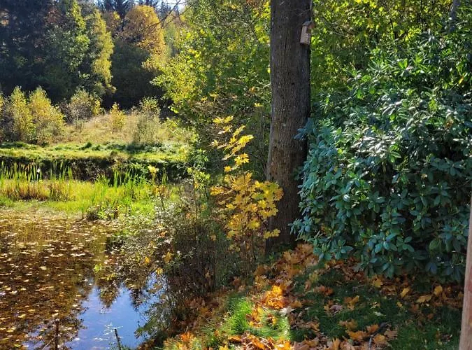 Henrykowo Ferienhaus Stronie Śląskie