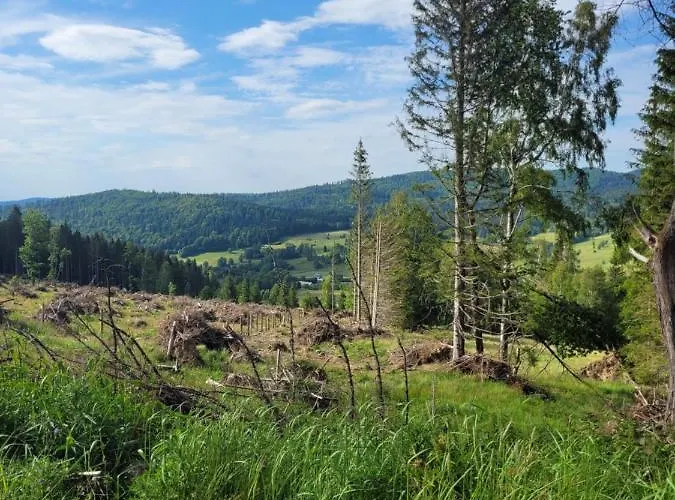 Ferienhaus Henrykowo *