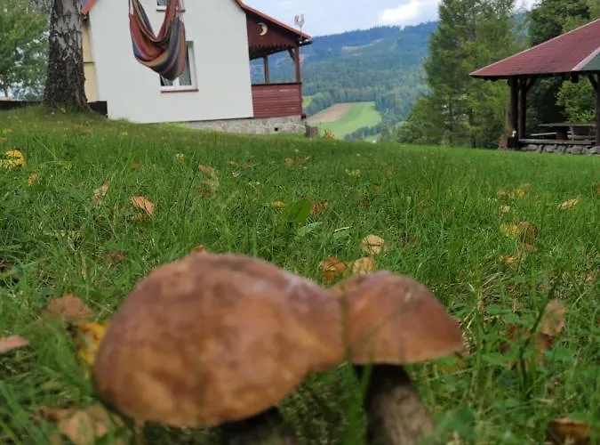 Ferienhaus Henrykowo Stronie Śląskie