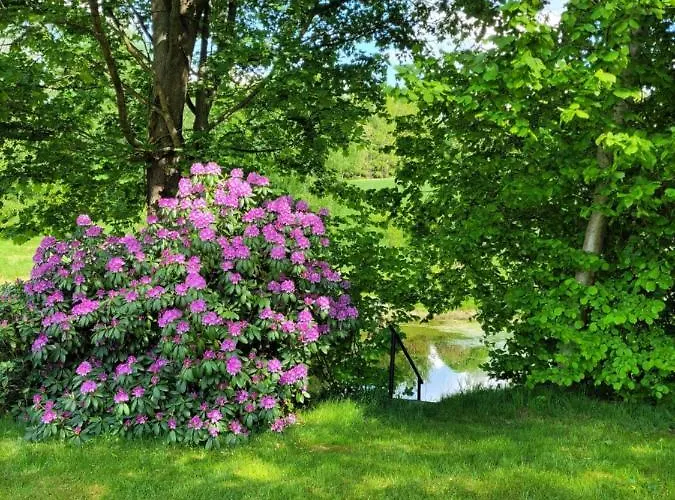 Ferienhaus Henrykowo Stronie Śląskie
